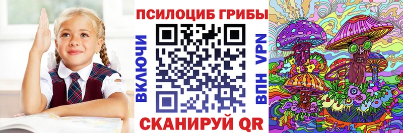 mega как зайти  Славгород  Галлюциногенные грибы GOLDEN TEACHER 